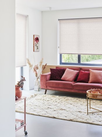 redenen voor raamdecoratie in Den Haag